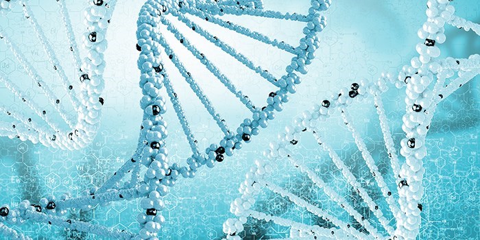 DNA spiral